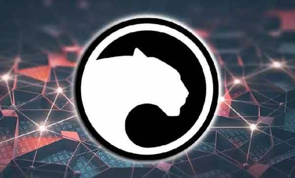 Panther Protocol: Новая эпоха конфиденциальности в DeFi