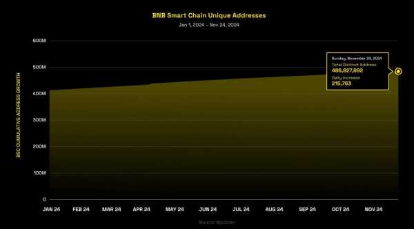 Команда BNB Chain представила отчет за 2024 год