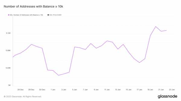 Solana скорректировалась на 14,5% после ATH, но киты продолжают покупать