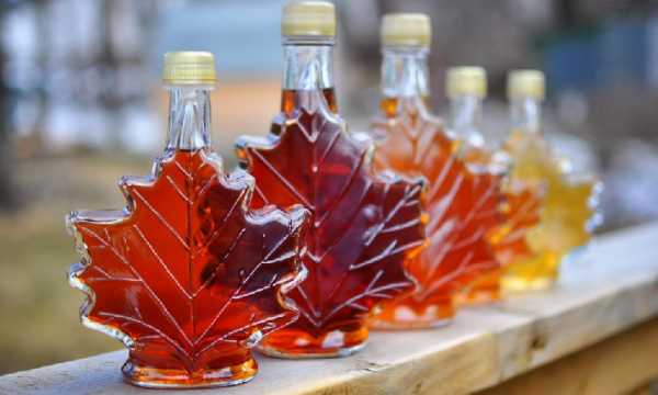 Maple Finance обдумывает возможность выкупа токенов SYRUP