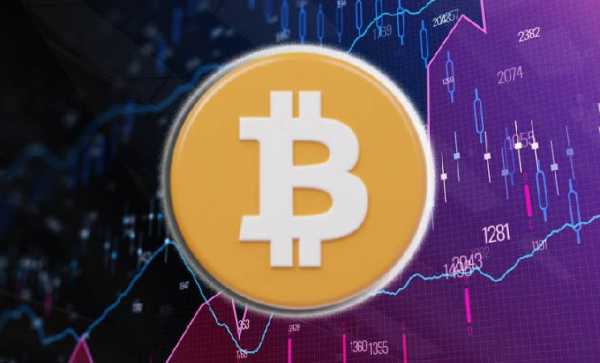 Доля новых держателей Bitcoin достигла 50,2%