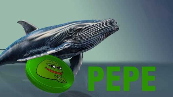 Киты скупают PEPE: сигнал к покупке или манипуляция?