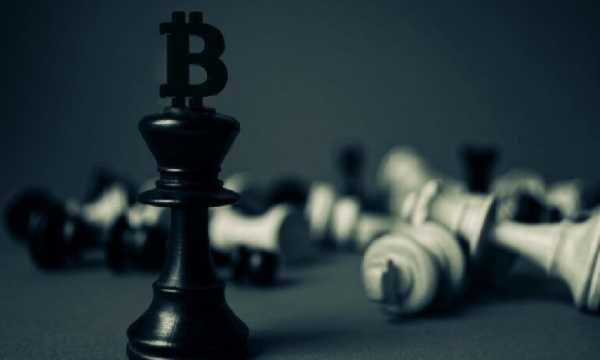 Sui объявляет о 12 проектах