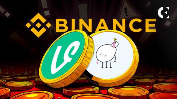 VINE & PIPPIN приземляются на Binance: может ли техническая поддержка победить шумиху вокруг мемов?
