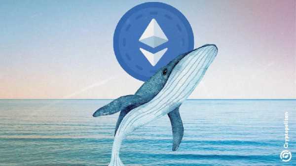 Киты купили Ethereum на $3,8 млрд за двое суток. Обзор DOT и APT