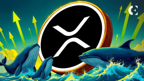 Прогноз цен XRP на 17 января: чего ожидать в ближайшие 24 часа