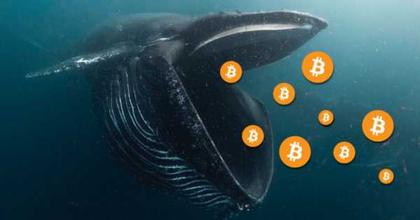 
                    Биткоин дорожает только благодаря крупным инвесторам                