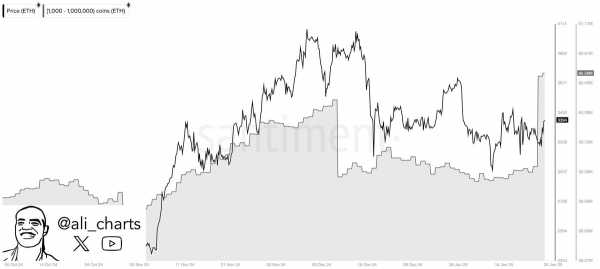 Киты купили Ethereum на $3,8 млрд за двое суток. Обзор DOT и APT