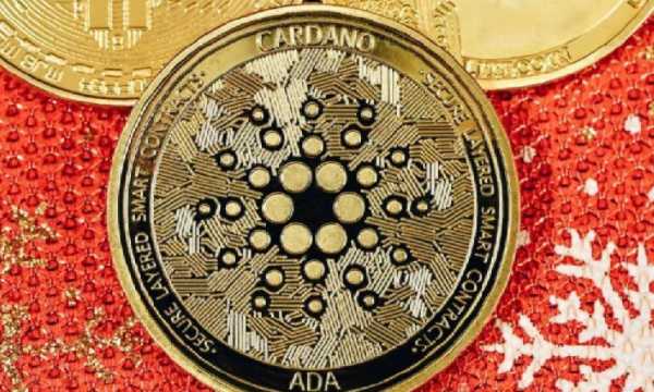 Крупные держатели Cardano вложили 140 миллионов долларов в ADA