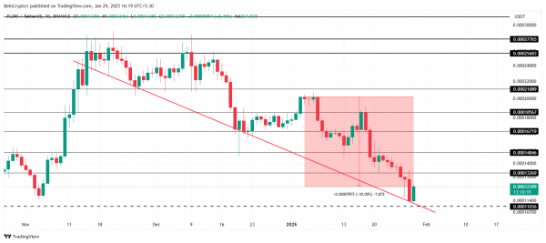 Топ-5 мемкоинов, которые заслуживают внимания в феврале