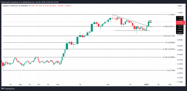 Рост на 24% не помог Cardano: медведи захватывают ADA