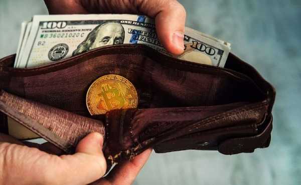 
                    Количество пользователей мобильных криптокошельков превысило 36 млн                
