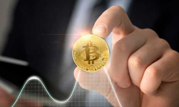 ARK Invest: «Низкая относительная волатильность биткоина предполагает дальнейший рост в 2025 году»