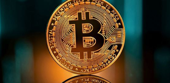 Биткоин-кошельки, хранящие от 100 до 1000 BTC, достигли рекордного максимума