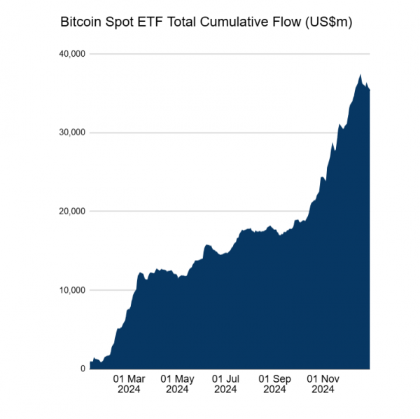 Bitcoin ETF от BlackRock превзошел конкурентов по чистому притоку в 2024 году