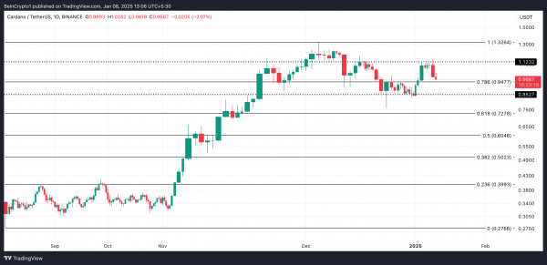 Киты активно скупают Cardano: сможет ли ADA преодолеть $1