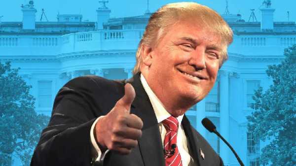 Курс каких криптовалют вырастет при президентстве Дональда Трампа?