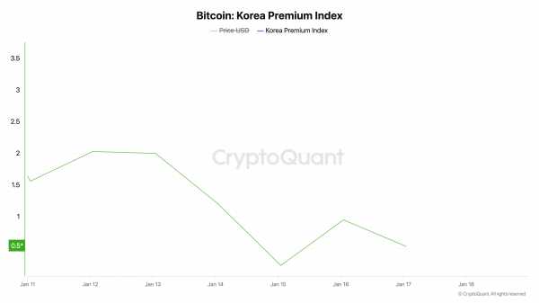 Биткоин фиксирует приток средств от инвесторов из США