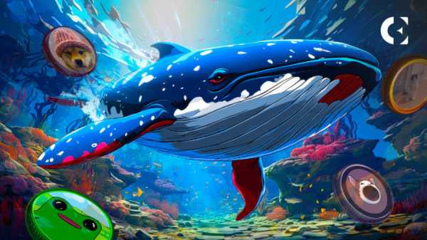 Покупка Memecoin Crypto Whale за 18,57 миллионов долларов повергла Солану в шок