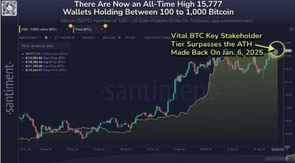 Биткоин-кошельки, хранящие от 100 до 1000 BTC, достигли рекордного максимума