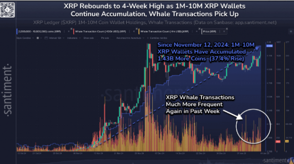 
                    Цена XRP приближается к $3, поскольку криптокиты продолжают накопление                