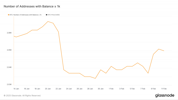BTC застрял ниже $100 000, накопление остается слабым