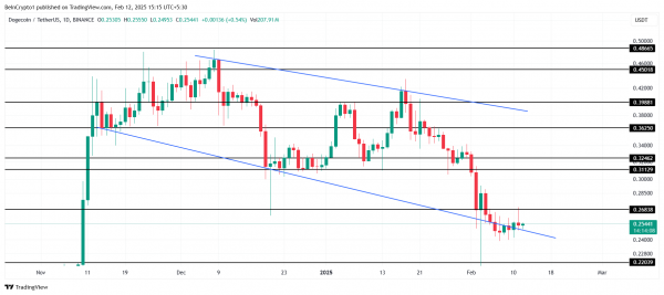 Dogecoin: обеспечат ли долгосрочные держатели поддержку