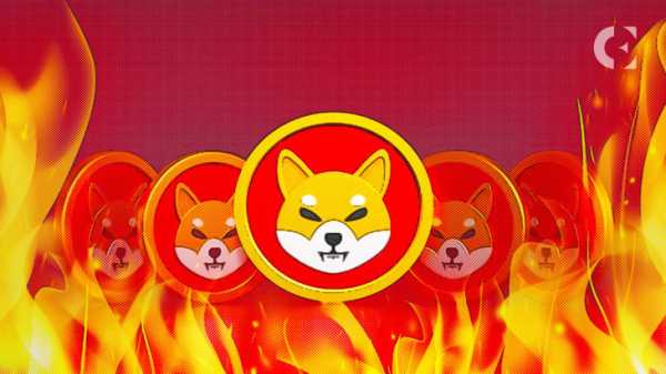 Сиба-ину Burn Frenzy: приведет ли это к снижению SHIB до $0,01?