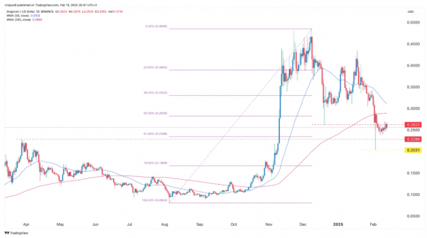 Вероятность одобрения DOGE-ETF выросла на Polymarket до 67%