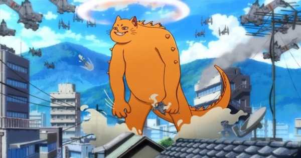 
                    График XRP отражает откат, сможет ли Catzilla противостоять давлению?                