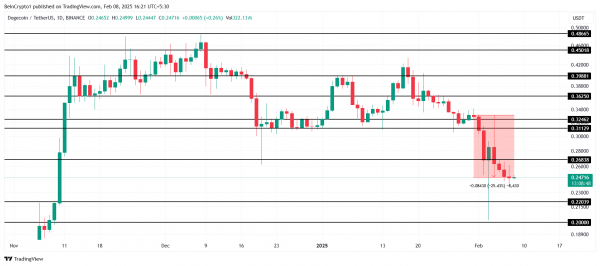 Dogecoin потерял доверие инвесторов