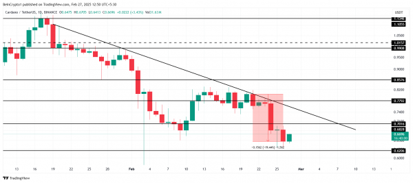 Киты накопили 300 млн ADA на фоне падения цены Cardano