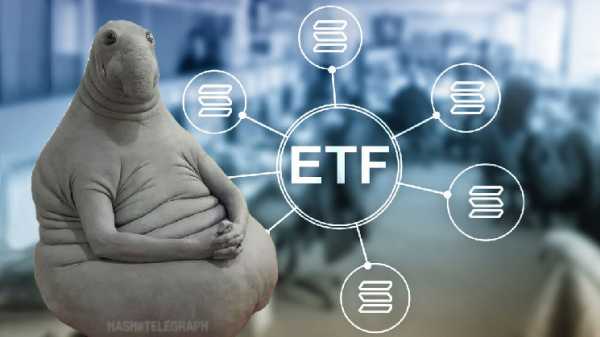 SEC меняет курс: регулятор принял к рассмотрению заявку на Solana-ETF