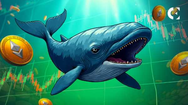 Цена на Ethereum изменится, поскольку крупные держатели войдут в нее