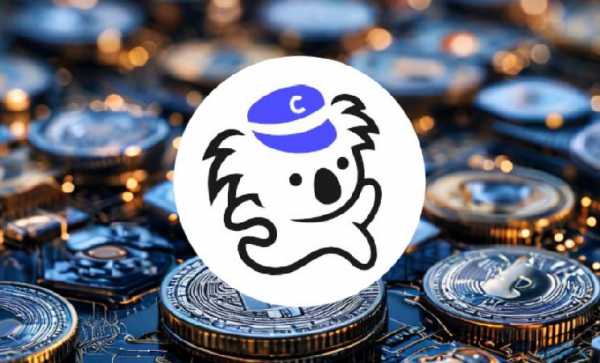 Coala Pay привлек $3,5 млн на развитие цифровой платформы