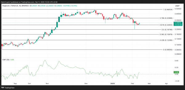 Уверенность в Dogecoin растет: сможет ли DOGE дойти к $0,32