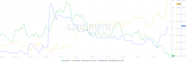 Киты FET аккумулируют после падения цены на 34%