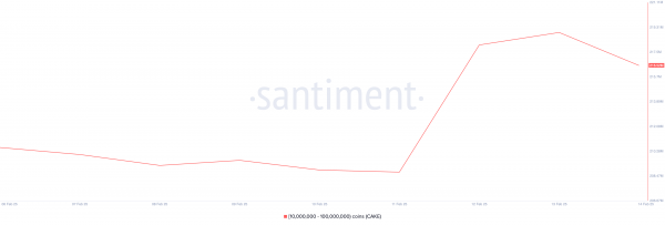 TRX, ETH и CAKE: что покупали киты на этой неделе
