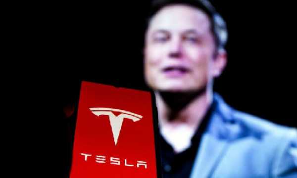 D.O.G.E Илона Маска планирует пополнить золотые резервы США биткоинами после аудита Форт-Нокса