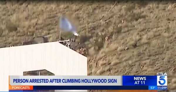 Полиция сняла с вывести Hollywood мужчину, рекламировавшего токен