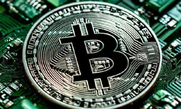 Доминирование Bitcoin выросло с 38% до 59% за 2 года