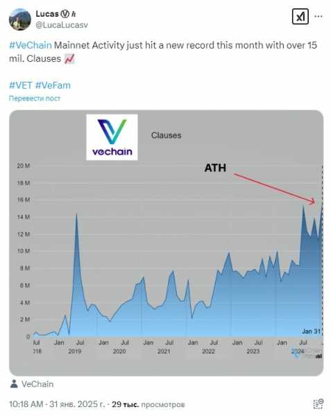 
                    На фоне спада VeChain показал большее падение и меньший отскок                