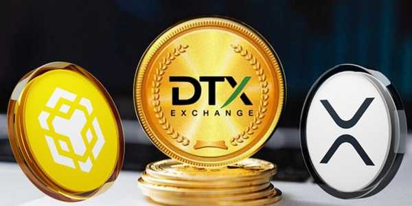 
                    После запуска новый токен ERC-20 может превзойти BNB и даже XRP                