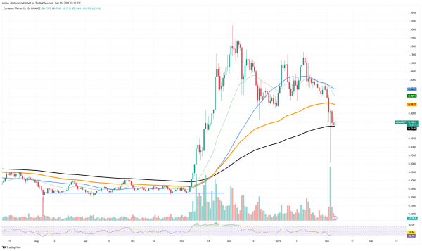Новый ETF Cardano (ADA) запущен Шведской инвестиционной фирмой