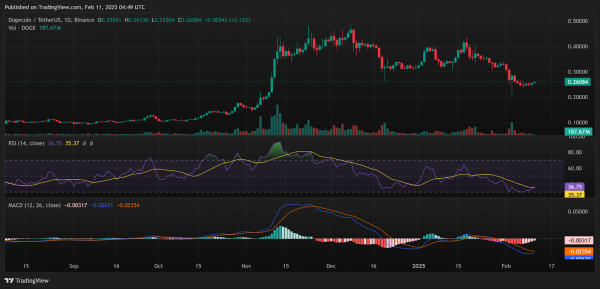 Цена Dogecoin (DOGE): аналитики видят $4 на бычьем графике