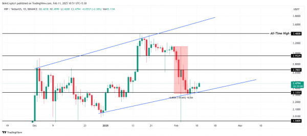 Восстановление цены Ripple (XRP) зависит от этих инвесторов
