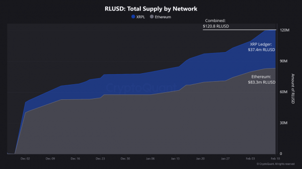 RLUSD набирает популярность в реестре XRP, поскольку USDT сталкивается с делистингом в Европе
