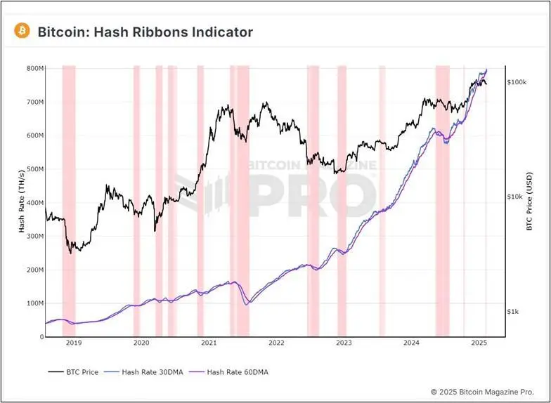Анализ цен при помощи хешрейта: особенности индикатора Hash Ribbons
