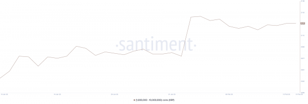 Почему курс XRP вырос за сутки на 10%