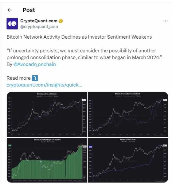 
                    В CryptoQuant выяснили причину падения активности в сети биткоина                